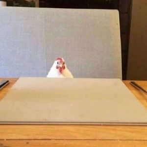 Meet your Posher, Alexa